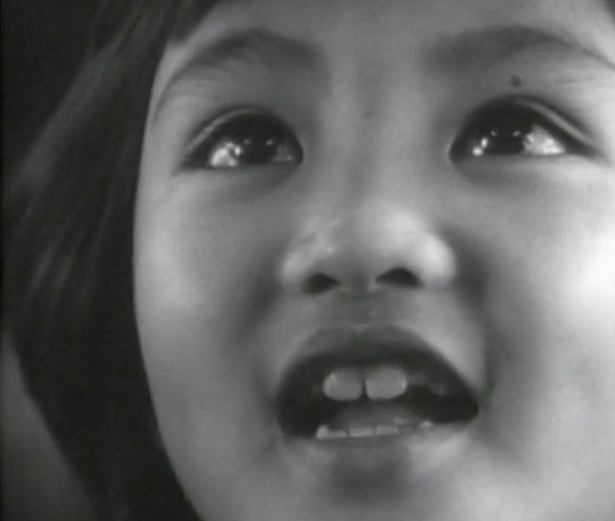 記録・授業 ビーバー 人間について